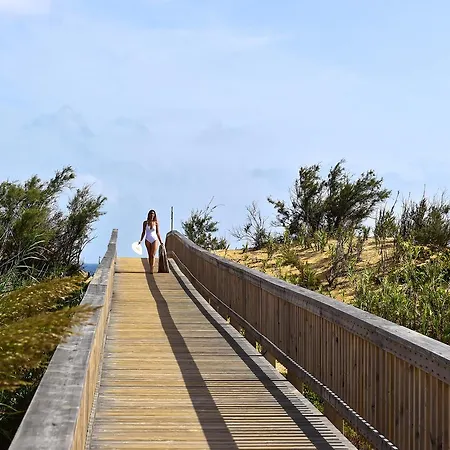 The Navigator - Colombus & פורטו סנטו